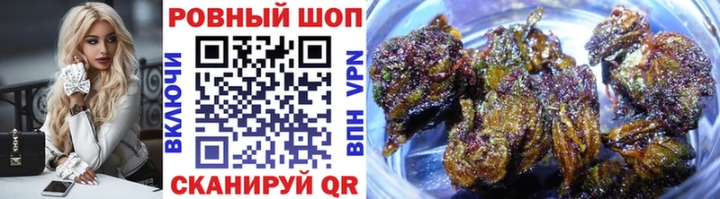 Какие есть наркотики Шуя Alpha-PVP  Марихуана  КОКАИН 