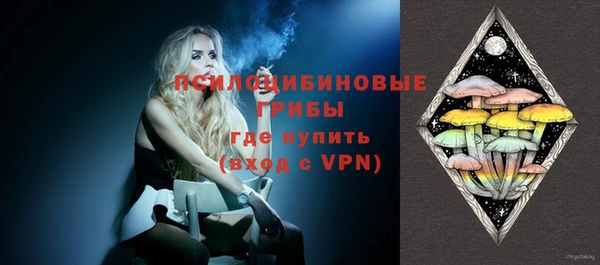 ешки Аркадак