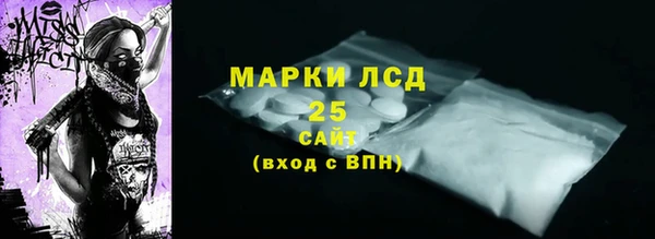 ешки Аркадак