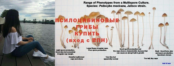 дистиллят марихуана Арсеньев