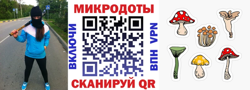 Псилоцибиновые грибы мицелий  гидра как войти  Шуя 