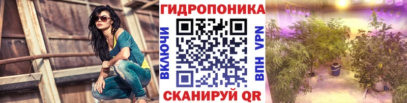 Бошки Шишки LSD WEED  как найти закладки  Шуя 